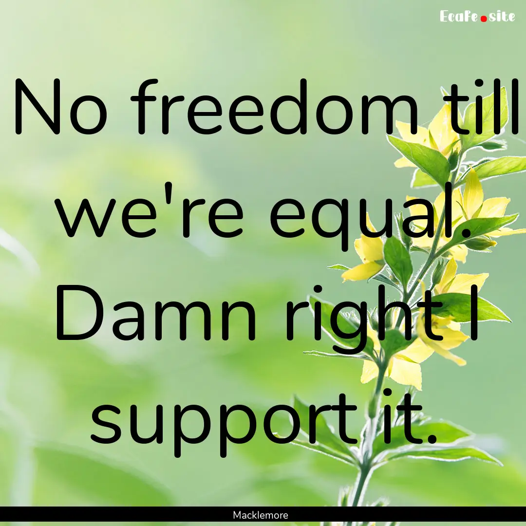 No freedom till we're equal. Damn right I.... : Quote by Macklemore