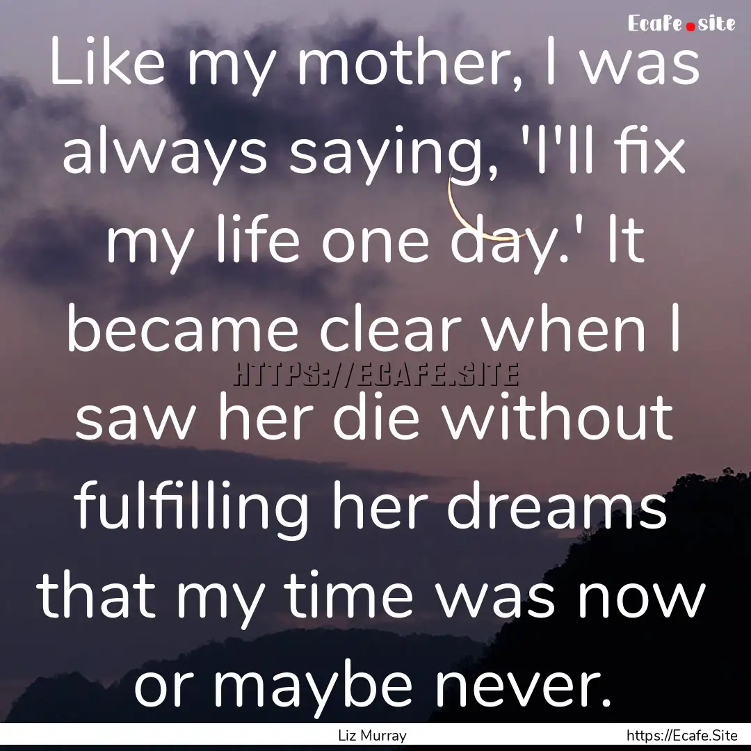 Like my mother, I was always saying, 'I'll.... : Quote by Liz Murray