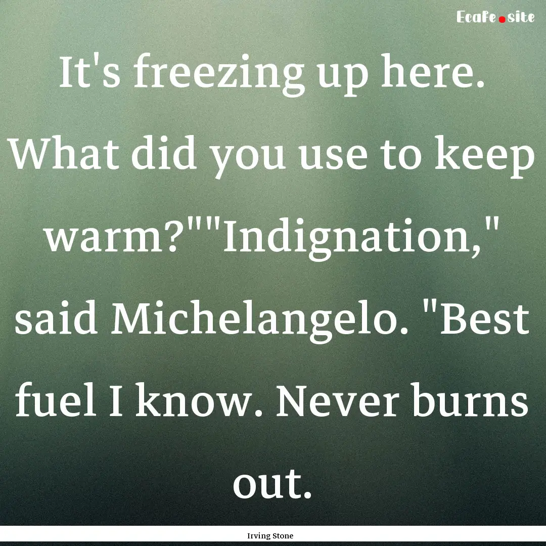 It's freezing up here. What did you use to.... : Quote by Irving Stone