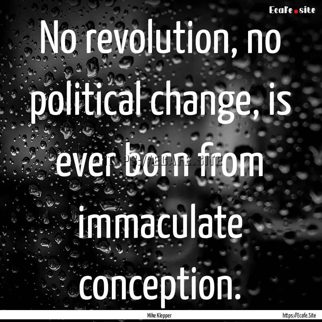 No revolution, no political change, is ever.... : Quote by Mike Klepper