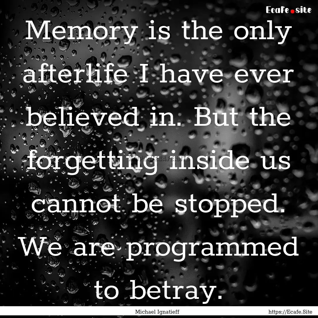 Memory is the only afterlife I have ever.... : Quote by Michael Ignatieff