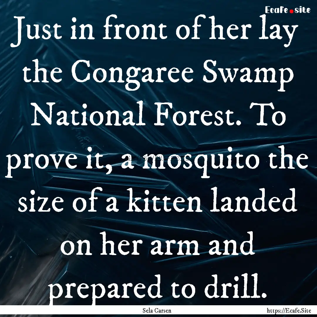 Just in front of her lay the Congaree Swamp.... : Quote by Sela Carsen