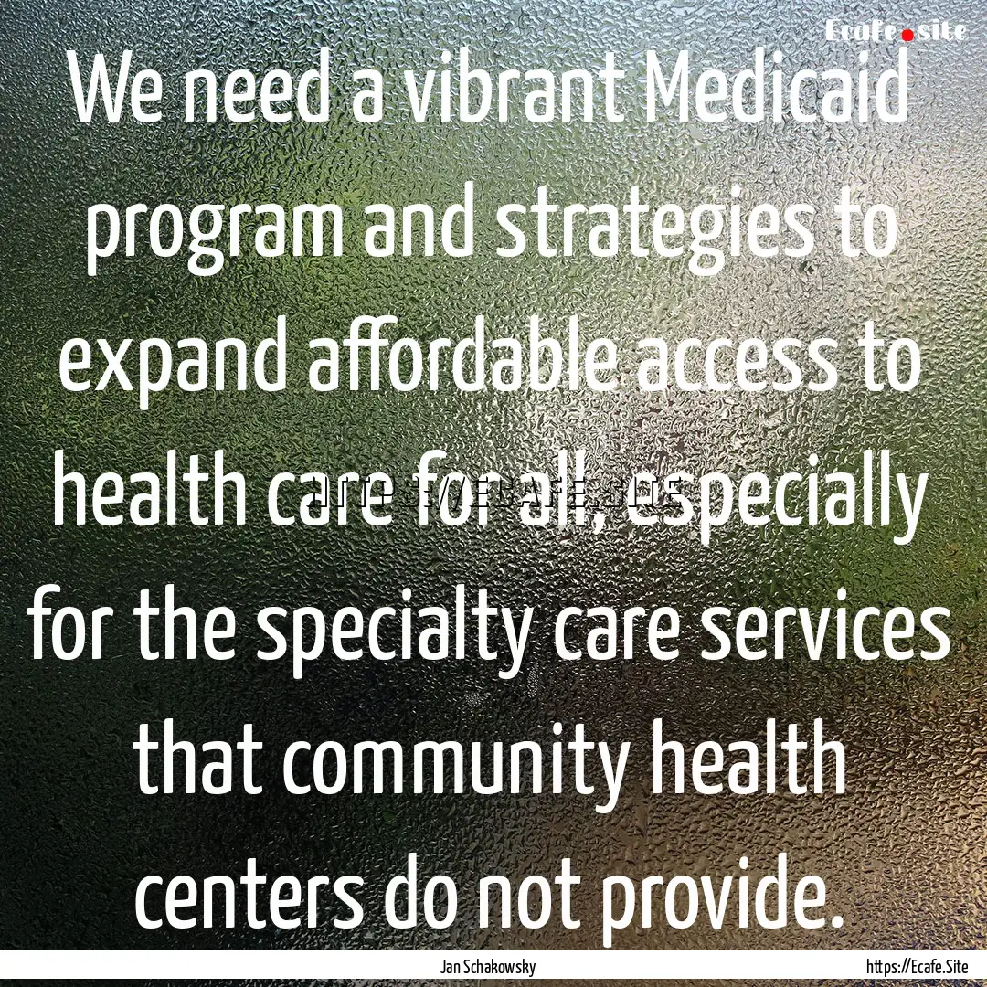 We need a vibrant Medicaid program and strategies.... : Quote by Jan Schakowsky