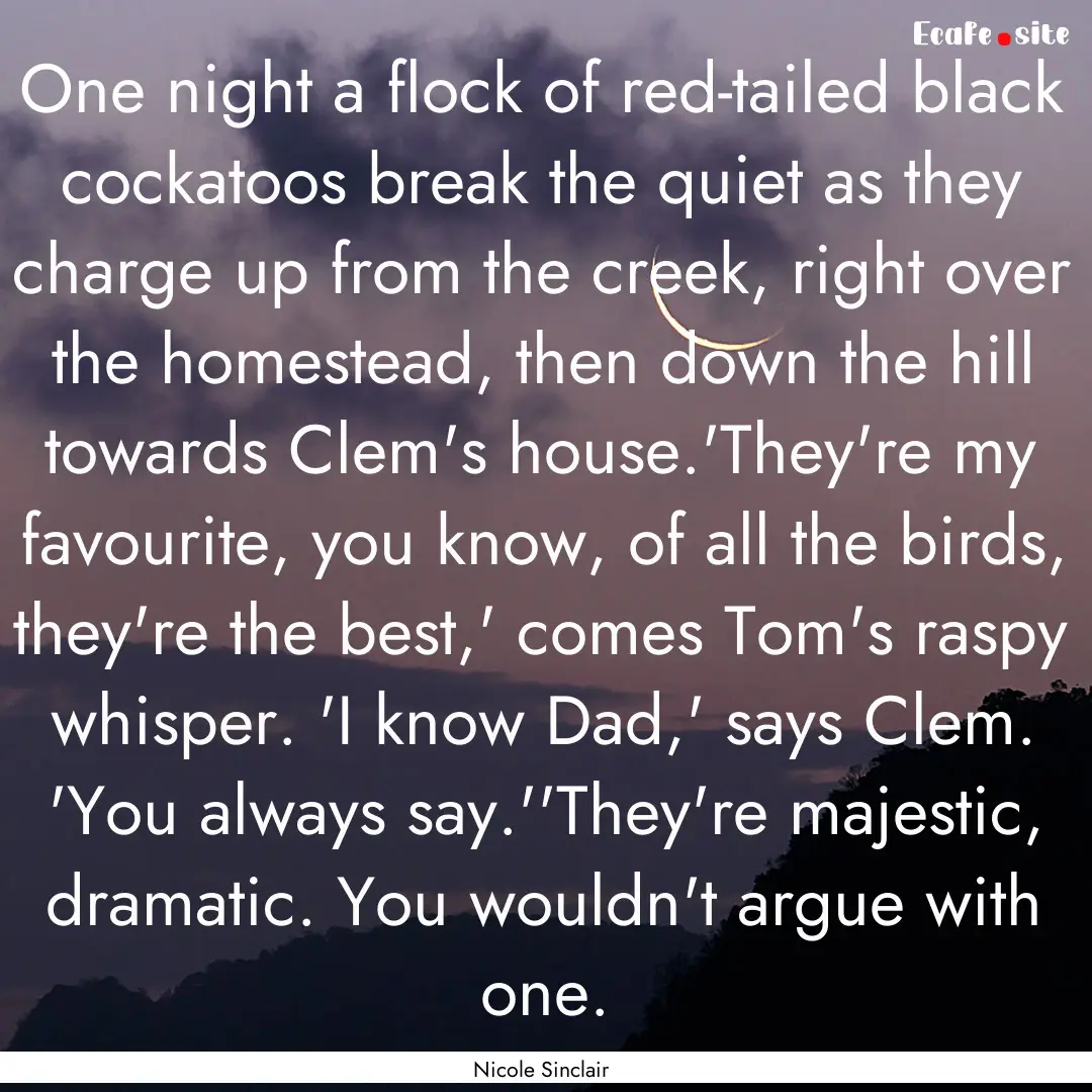 One night a flock of red-tailed black cockatoos.... : Quote by Nicole Sinclair