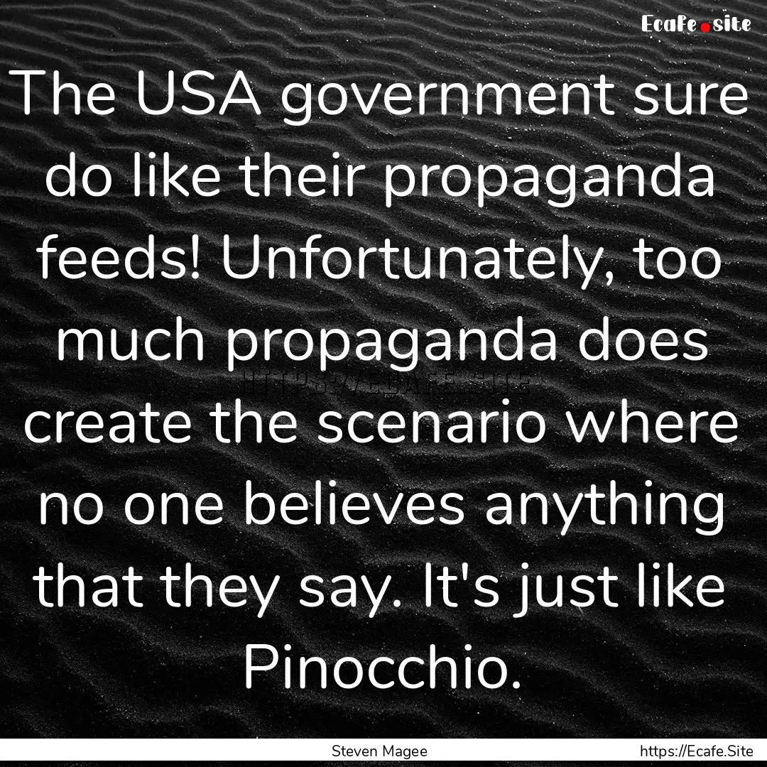 The USA government sure do like their propaganda.... : Quote by Steven Magee