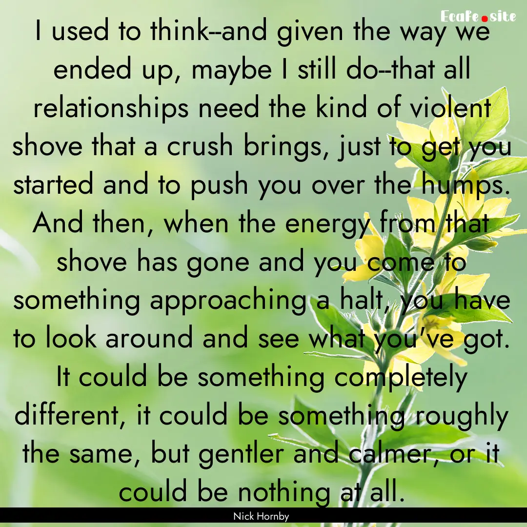 I used to think--and given the way we ended.... : Quote by Nick Hornby