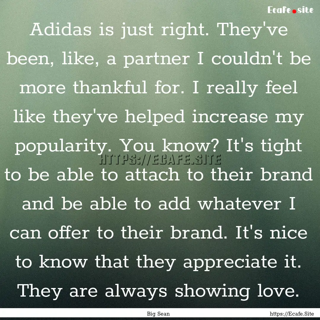 Adidas is just right. They've been, like,.... : Quote by Big Sean