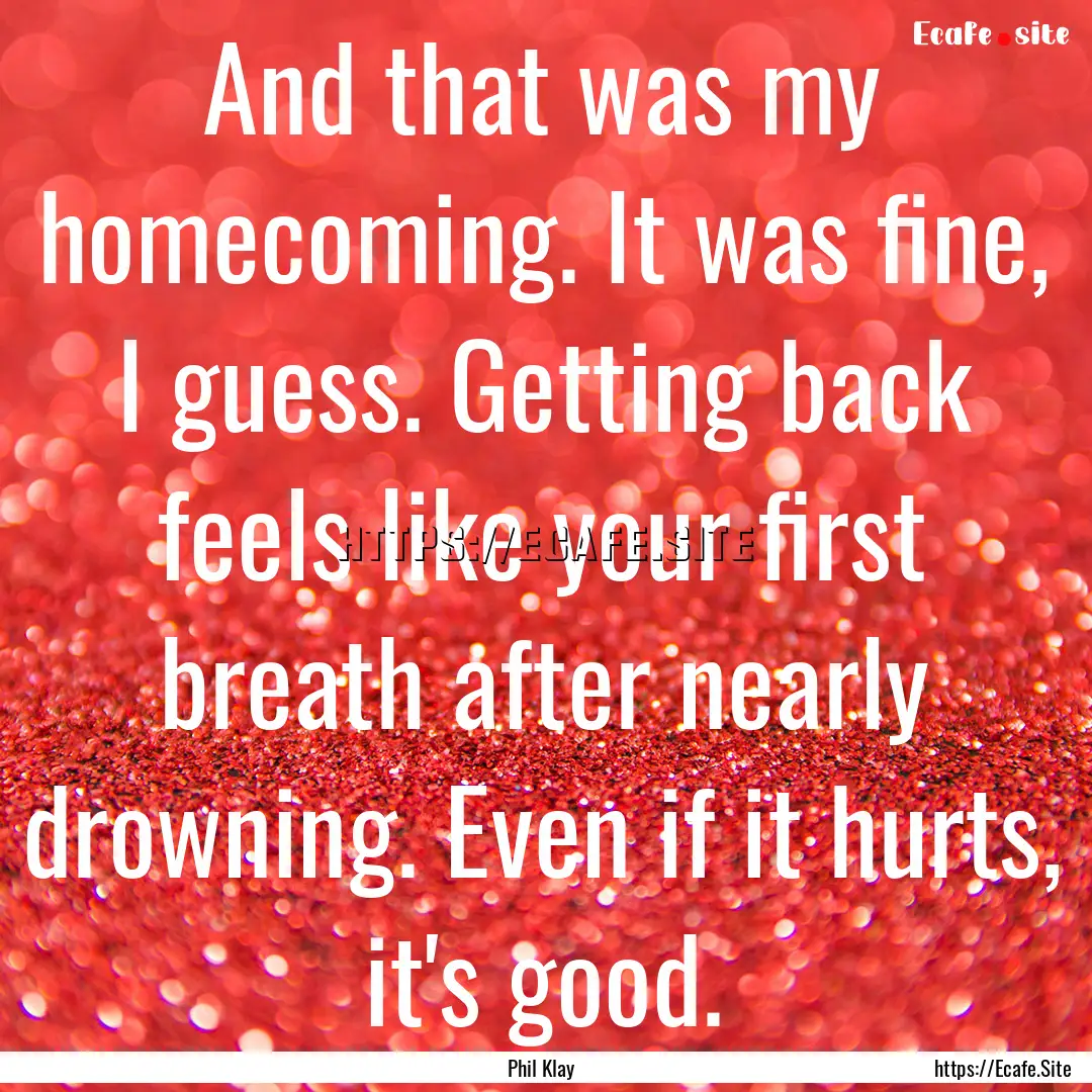 And that was my homecoming. It was fine,.... : Quote by Phil Klay