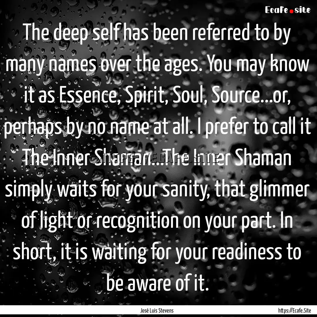 The deep self has been referred to by many.... : Quote by José Luis Stevens