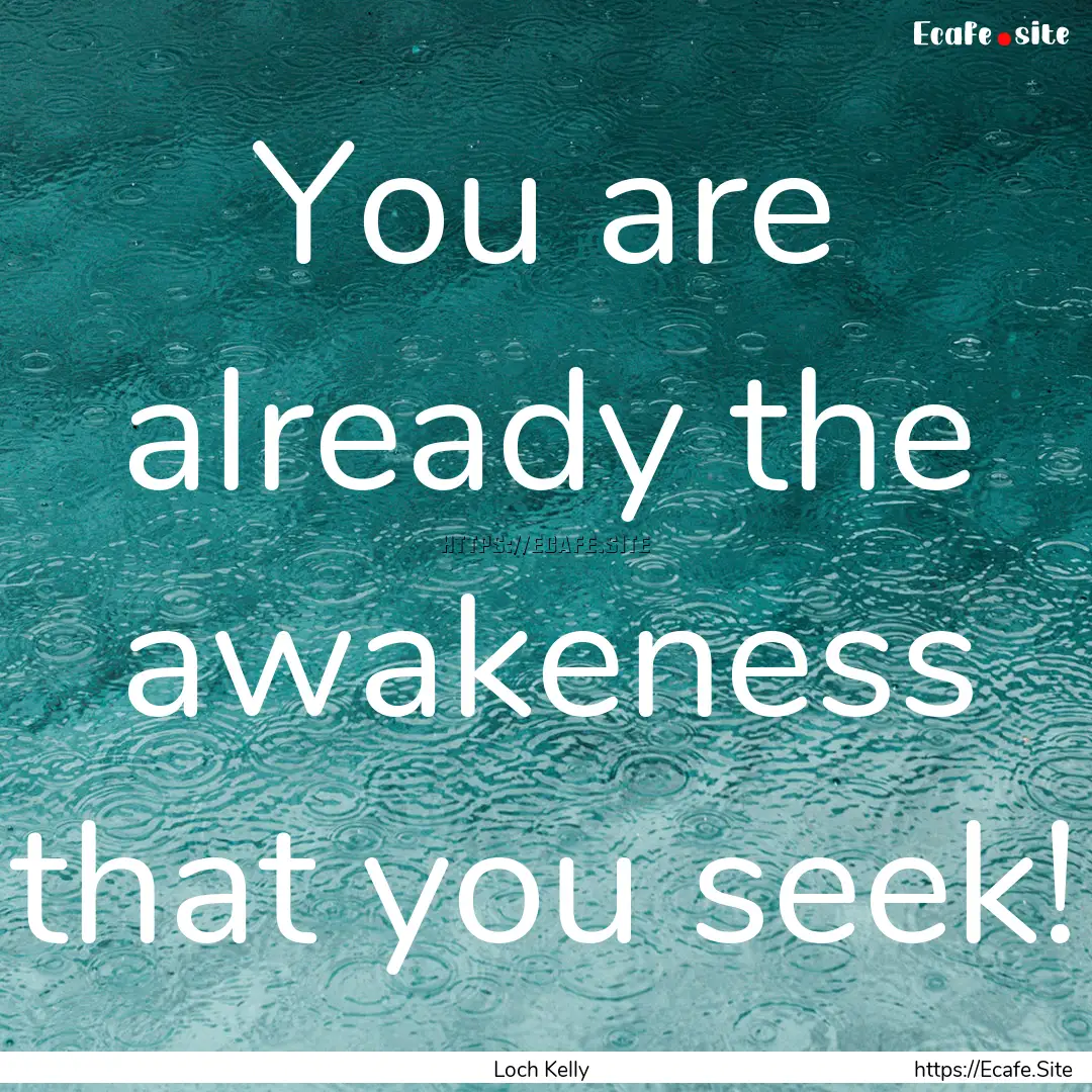 You are already the awakeness that you seek!.... : Quote by Loch Kelly