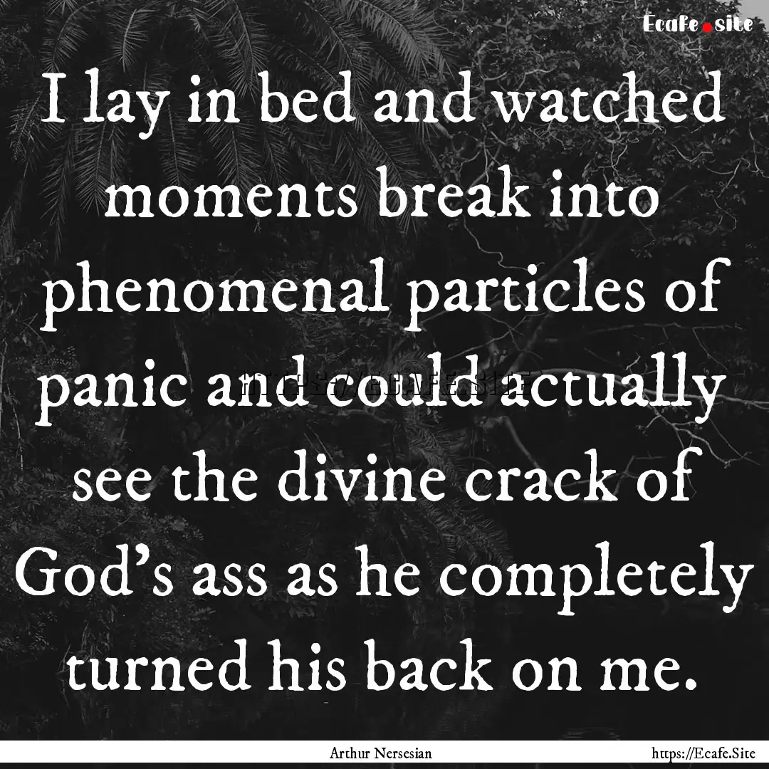 I lay in bed and watched moments break into.... : Quote by Arthur Nersesian