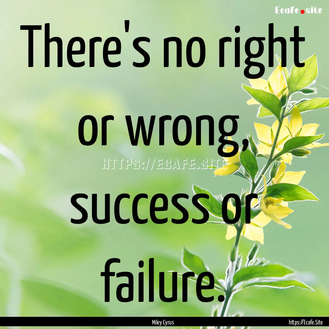 There's no right or wrong, success or failure..... : Quote by Miley Cyrus