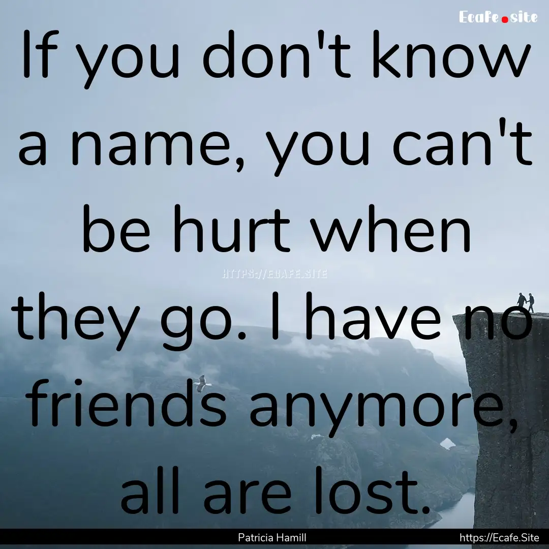 If you don't know a name, you can't be hurt.... : Quote by Patricia Hamill