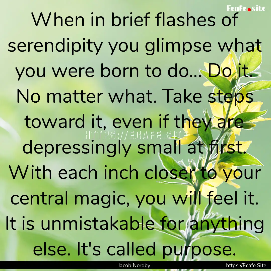 When in brief flashes of serendipity you.... : Quote by Jacob Nordby