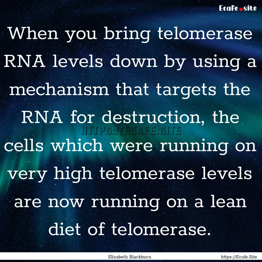 When you bring telomerase RNA levels down.... : Quote by Elizabeth Blackburn