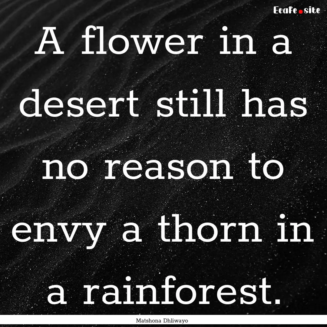 A flower in a desert still has no reason.... : Quote by Matshona Dhliwayo