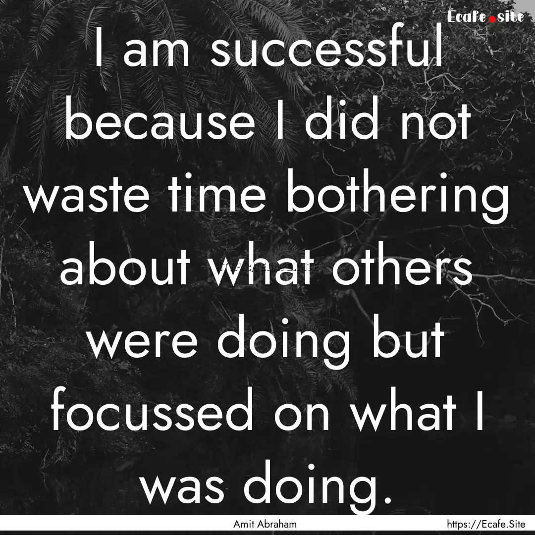 I am successful because I did not waste time.... : Quote by Amit Abraham