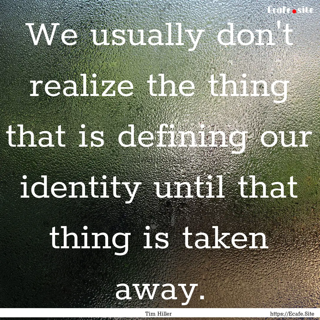 We usually don't realize the thing that is.... : Quote by Tim Hiller