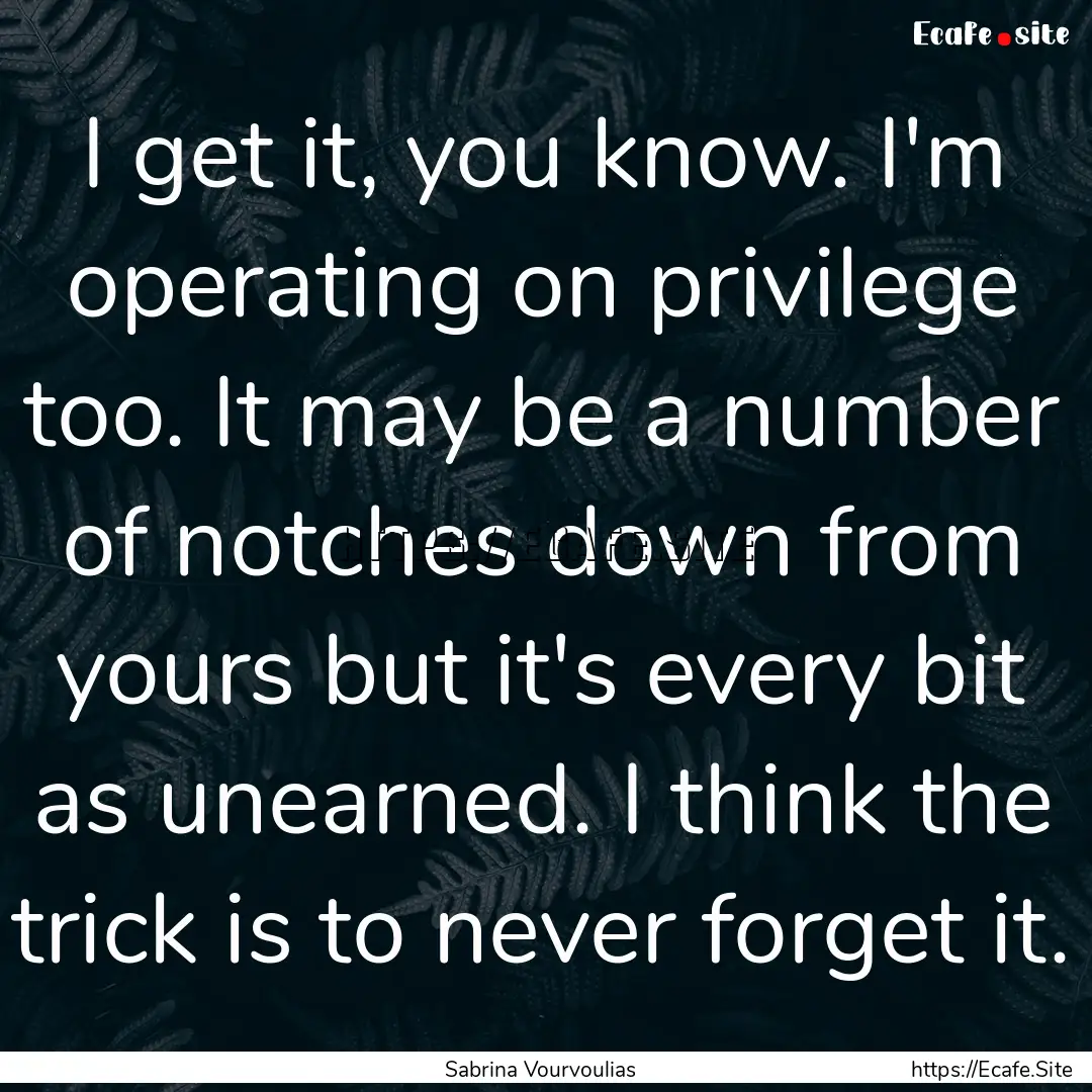 I get it, you know. I'm operating on privilege.... : Quote by Sabrina Vourvoulias