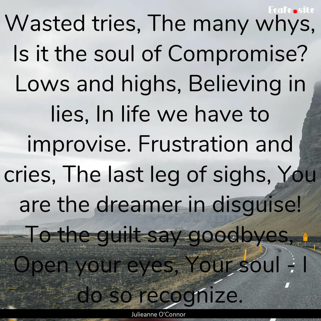 Wasted tries, The many whys, Is it the soul.... : Quote by Julieanne O'Connor