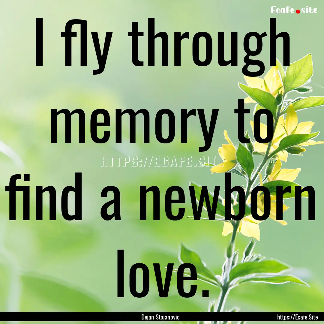 I fly through memory to find a newborn love..... : Quote by Dejan Stojanovic