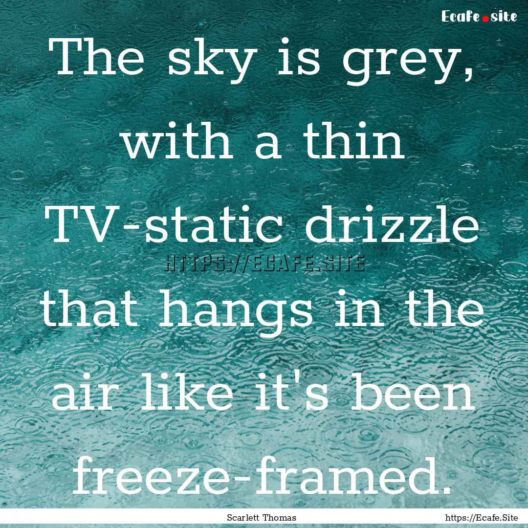 The sky is grey, with a thin TV-static drizzle.... : Quote by Scarlett Thomas