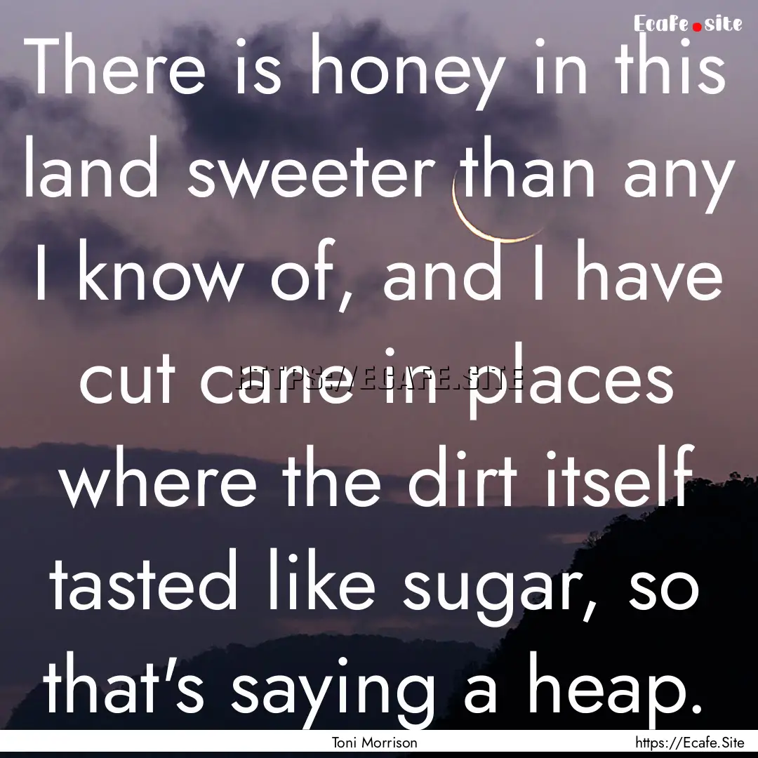 There is honey in this land sweeter than.... : Quote by Toni Morrison