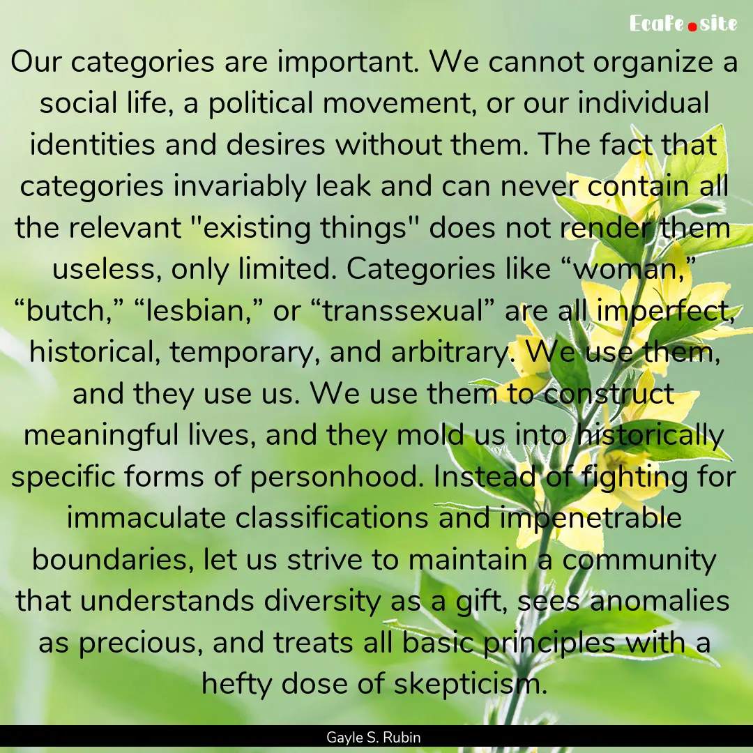 Our categories are important. We cannot organize.... : Quote by Gayle S. Rubin