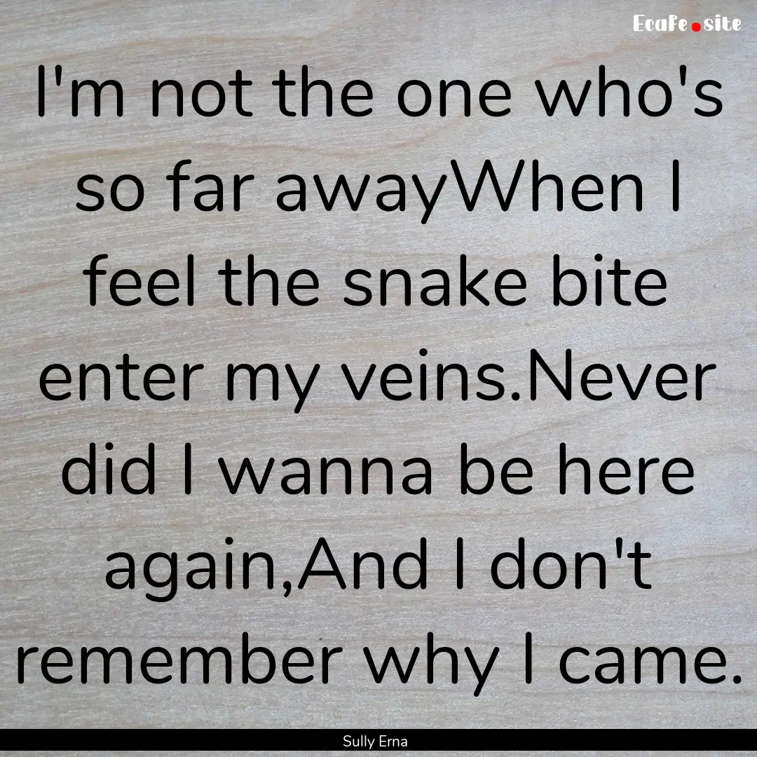 I'm not the one who's so far awayWhen I feel.... : Quote by Sully Erna