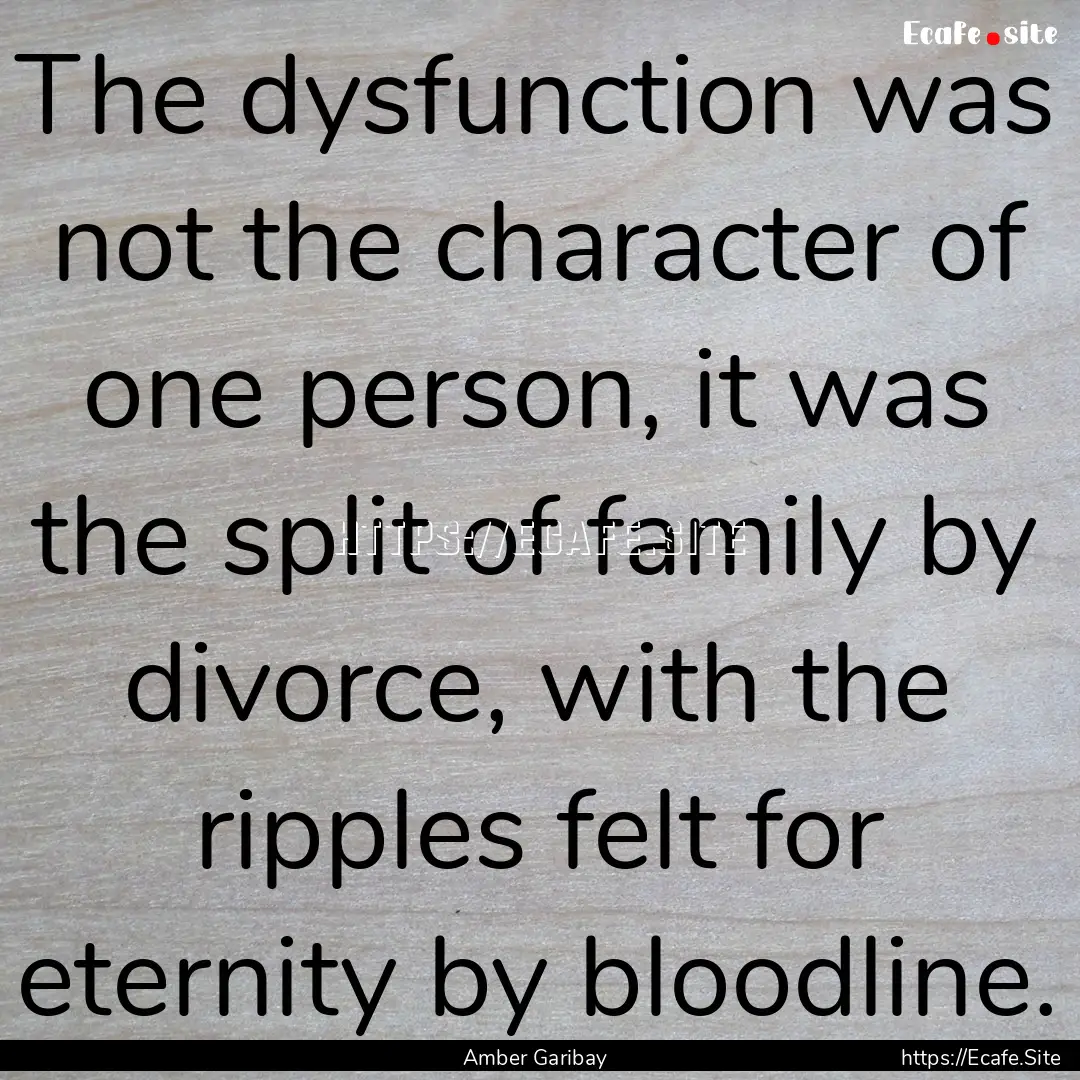 The dysfunction was not the character of.... : Quote by Amber Garibay