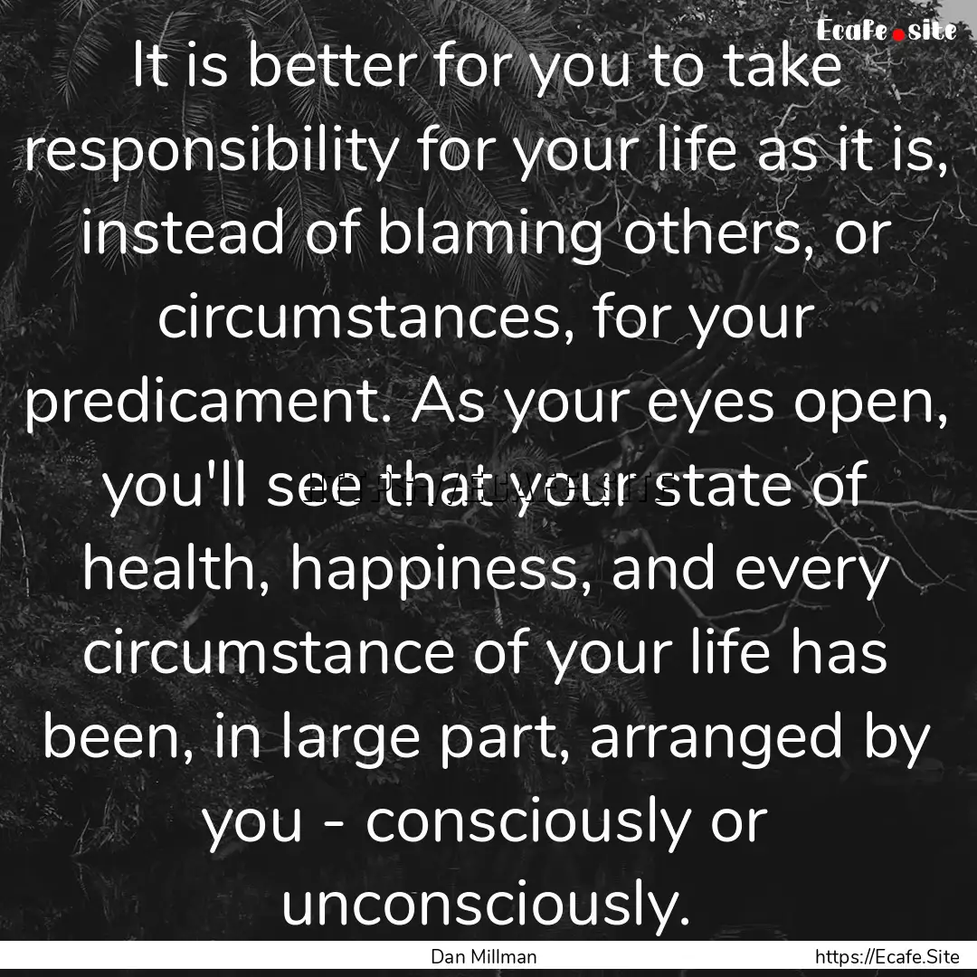 It is better for you to take responsibility.... : Quote by Dan Millman