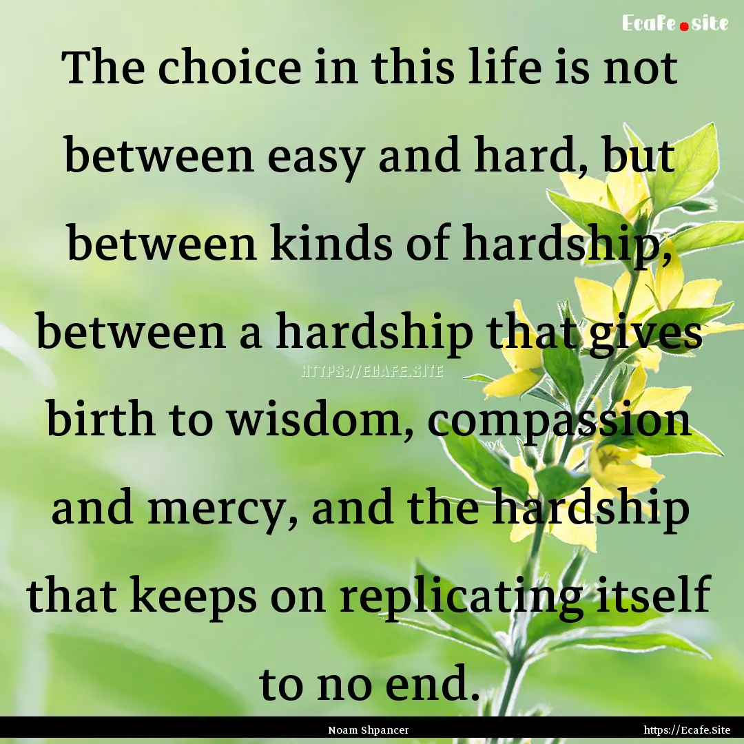 The choice in this life is not between easy.... : Quote by Noam Shpancer