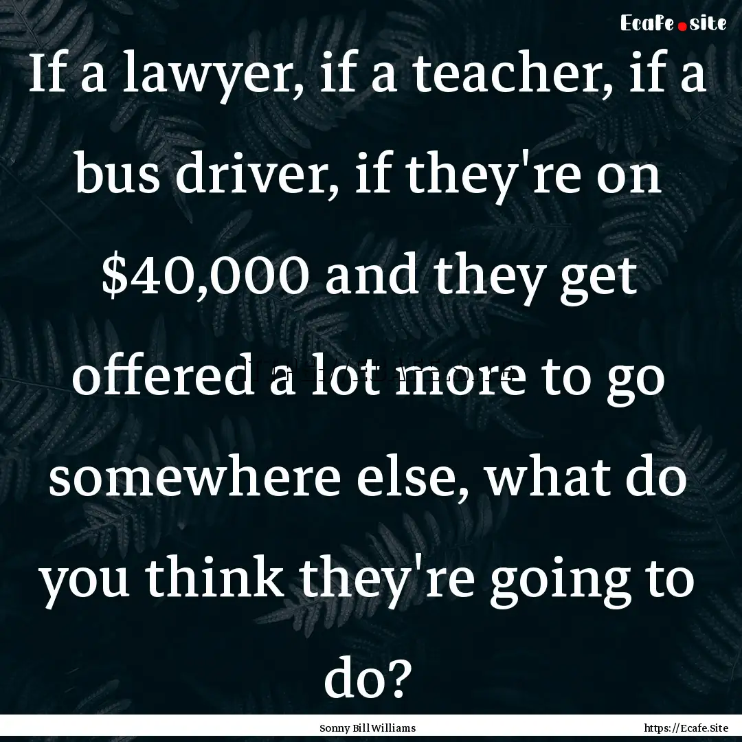 If a lawyer, if a teacher, if a bus driver,.... : Quote by Sonny Bill Williams