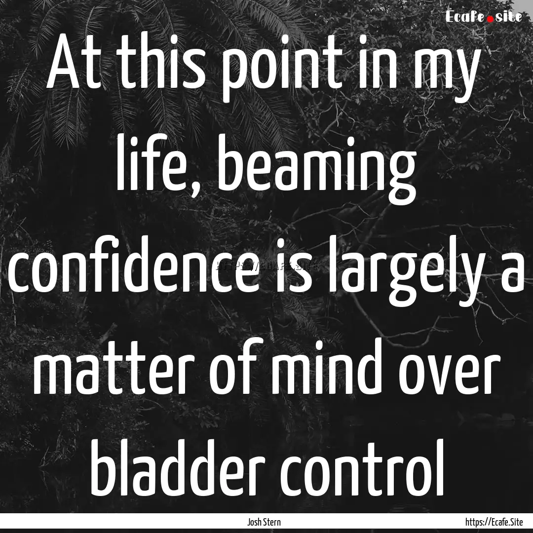 At this point in my life, beaming confidence.... : Quote by Josh Stern