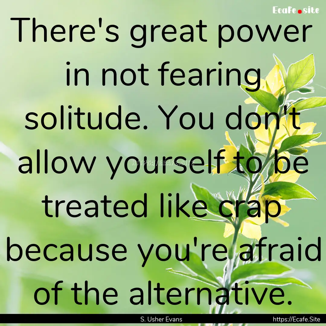 There's great power in not fearing solitude..... : Quote by S. Usher Evans