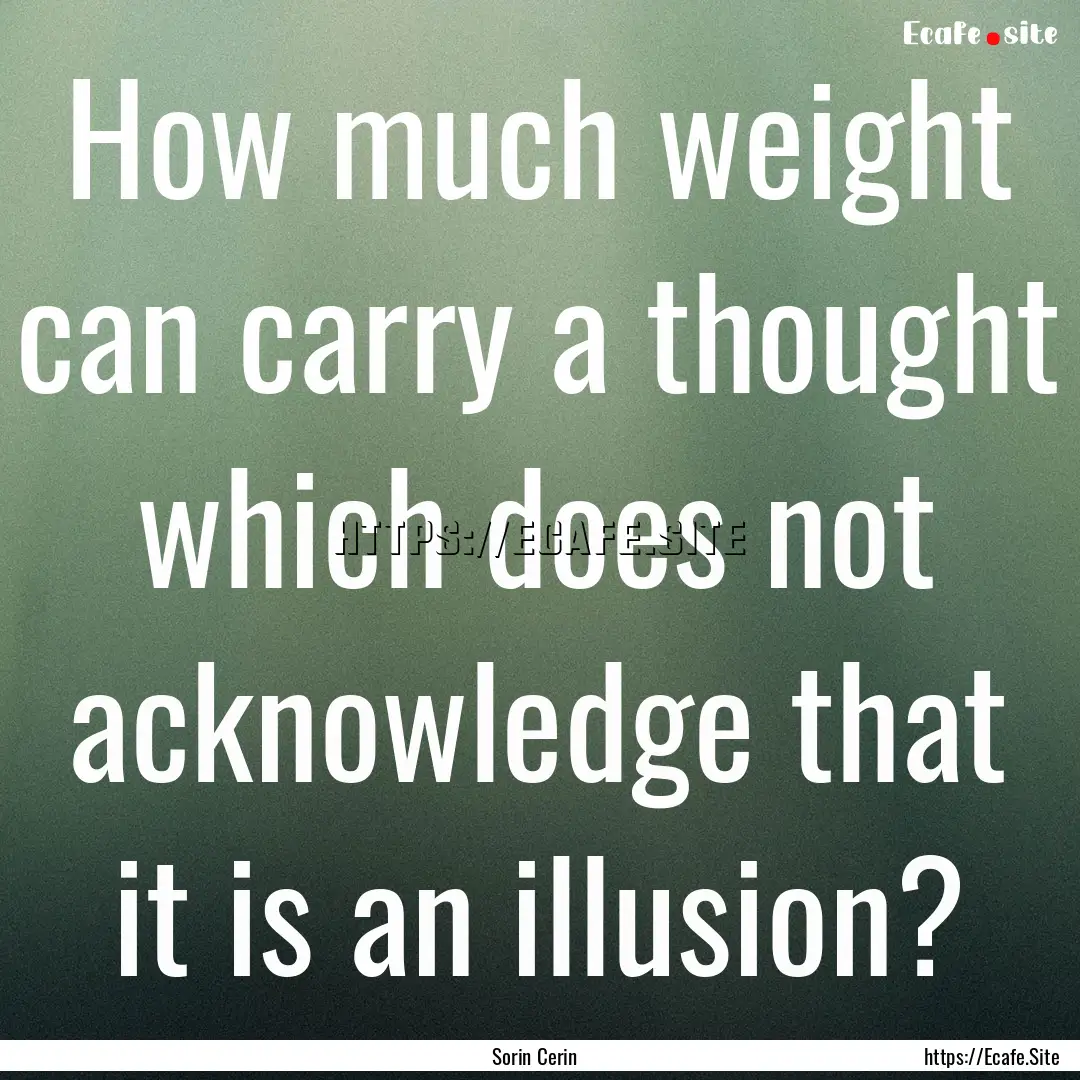 How much weight can carry a thought which.... : Quote by Sorin Cerin