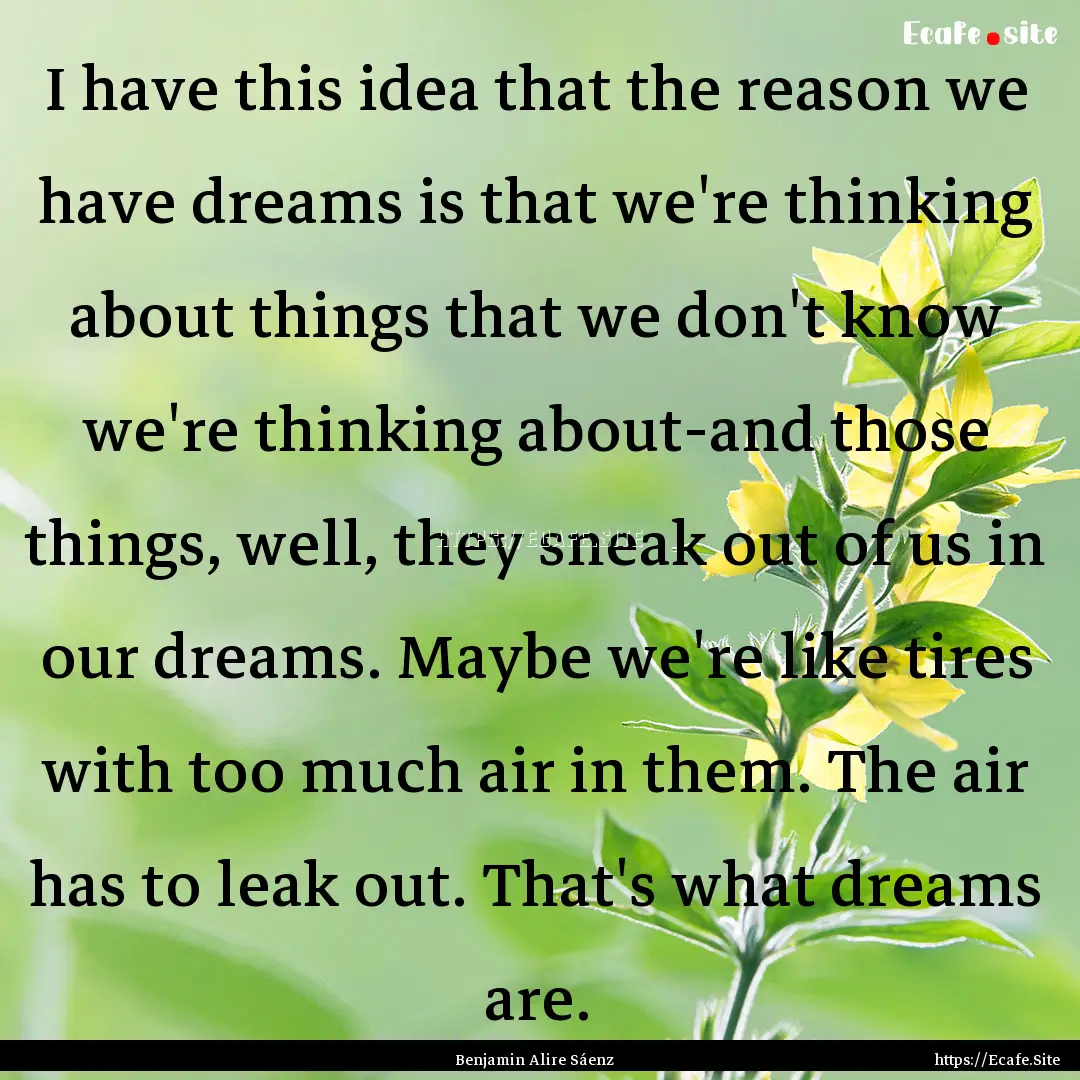 I have this idea that the reason we have.... : Quote by Benjamin Alire Sáenz