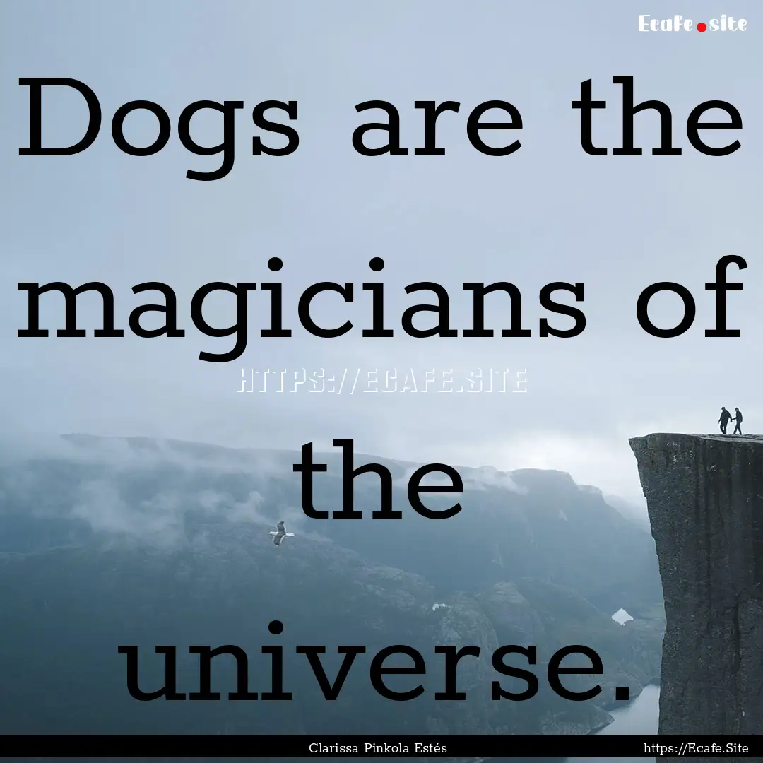 Dogs are the magicians of the universe. : Quote by Clarissa Pinkola Estés