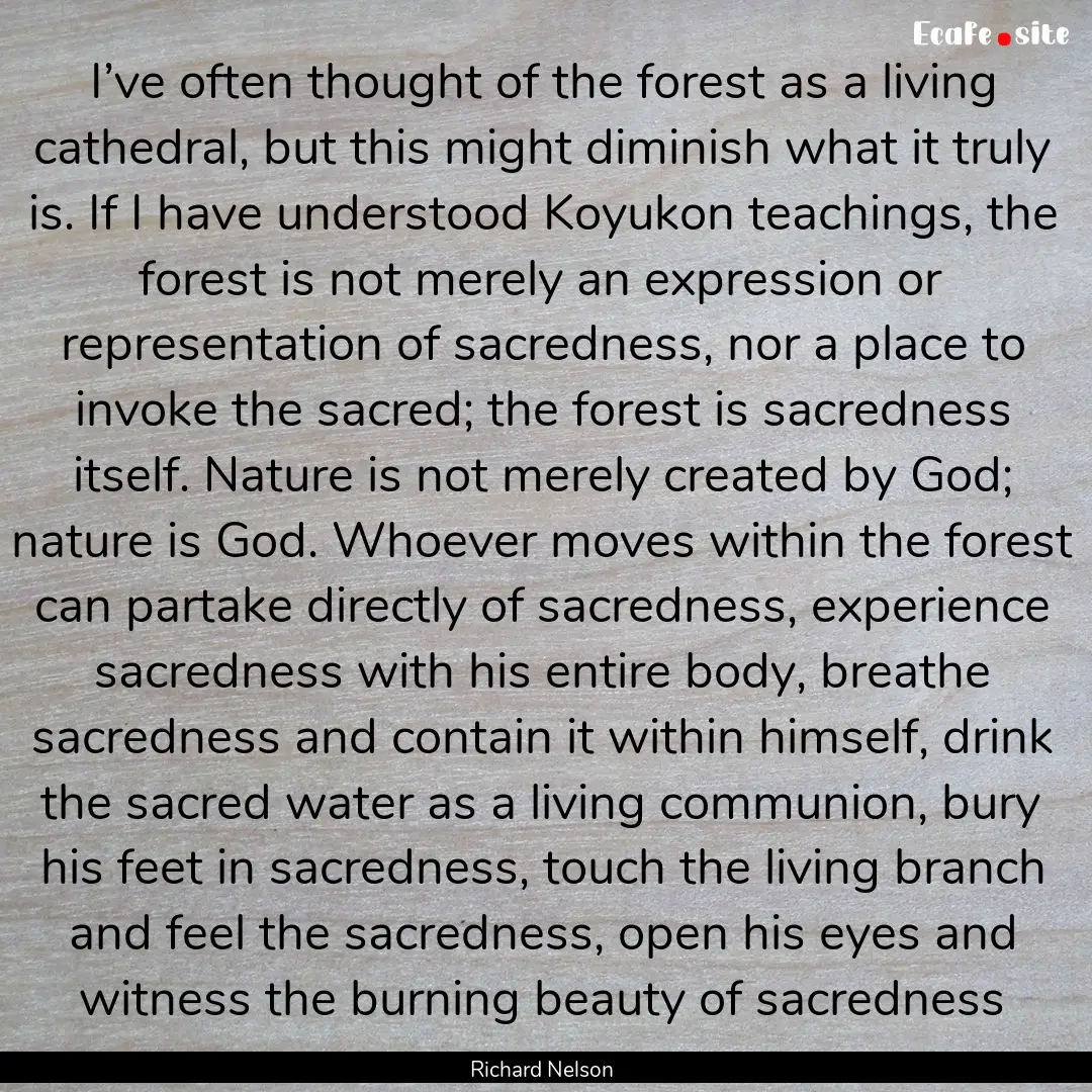 I’ve often thought of the forest as a living.... : Quote by Richard Nelson