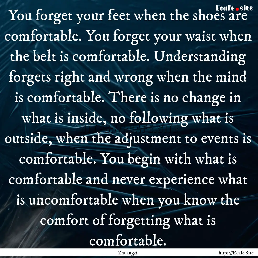 You forget your feet when the shoes are comfortable..... : Quote by Zhuangzi