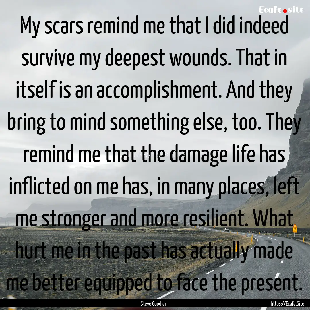 My scars remind me that I did indeed survive.... : Quote by Steve Goodier