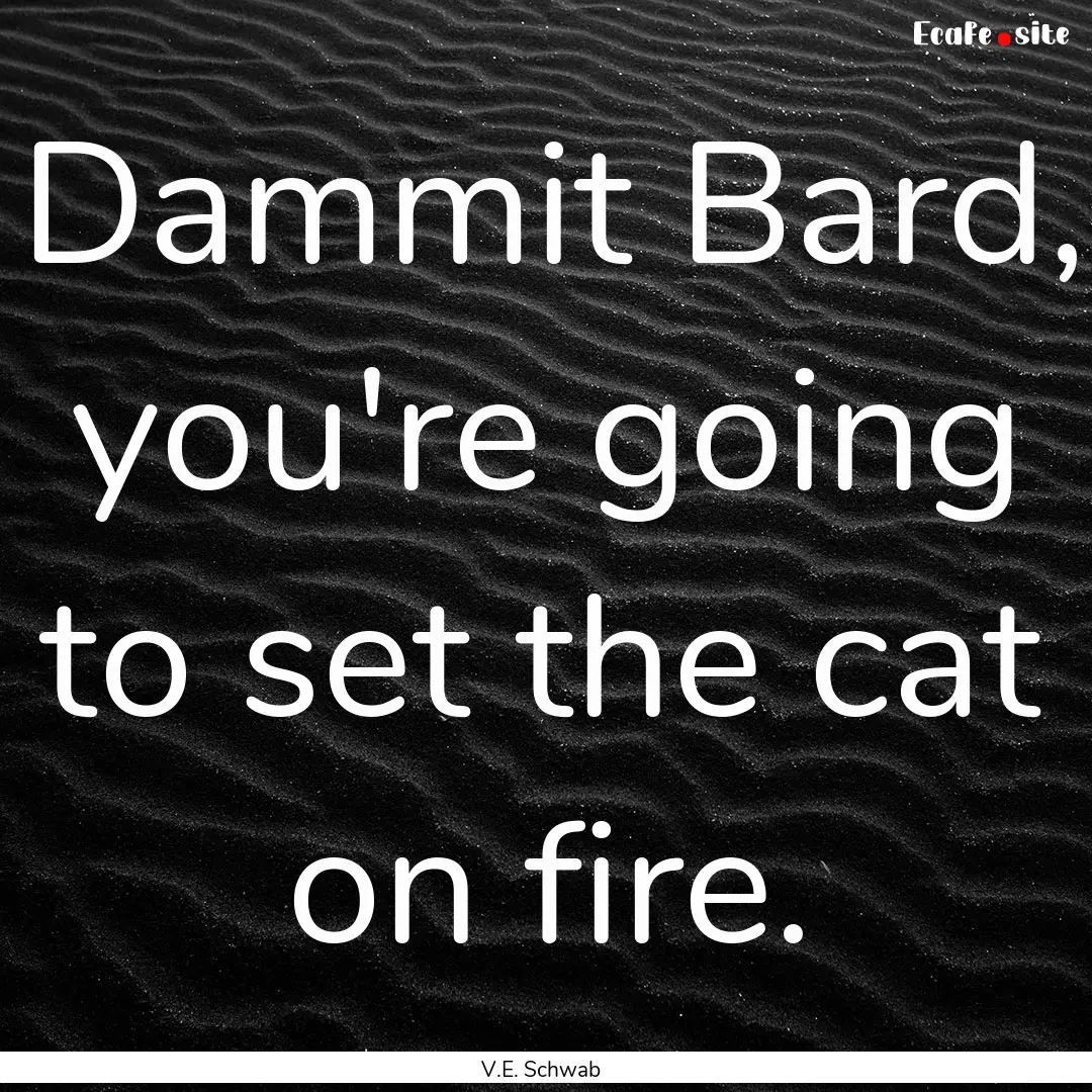 Dammit Bard, you're going to set the cat.... : Quote by V.E. Schwab