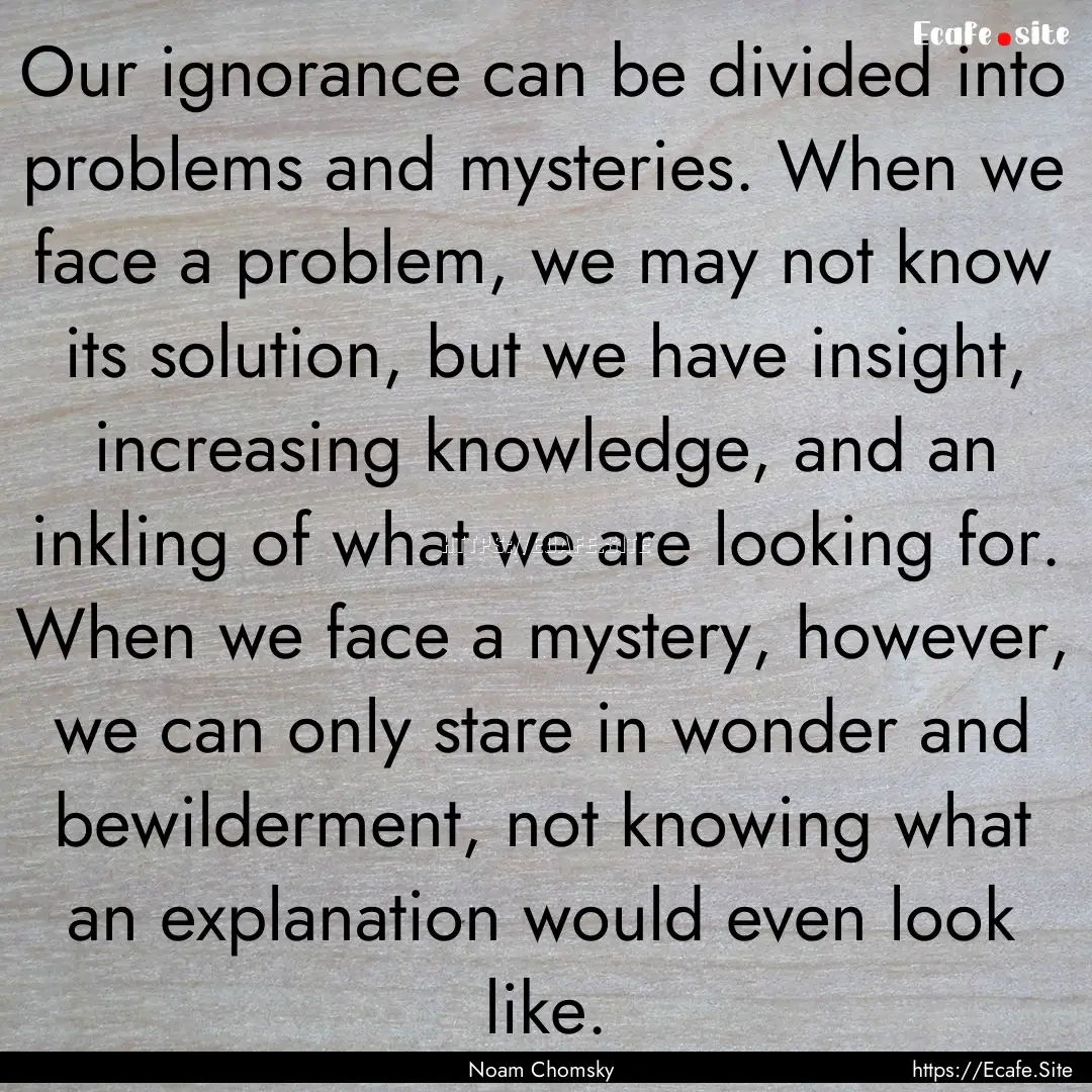 Our ignorance can be divided into problems.... : Quote by Noam Chomsky