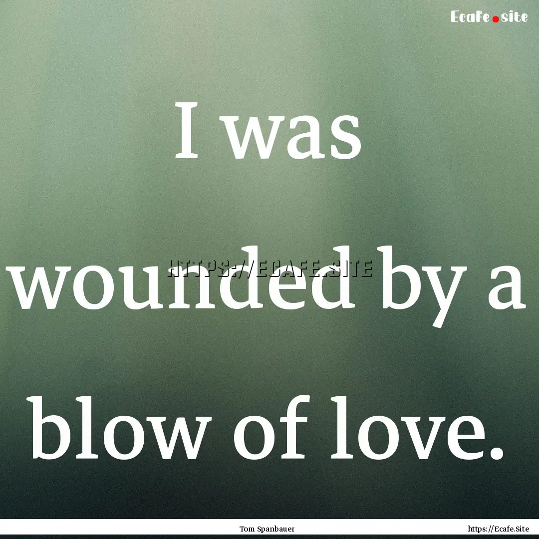 I was wounded by a blow of love. : Quote by Tom Spanbauer