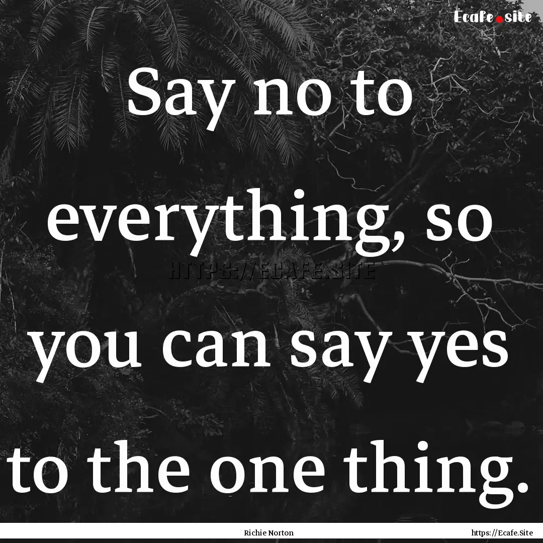 Say no to everything, so you can say yes.... : Quote by Richie Norton