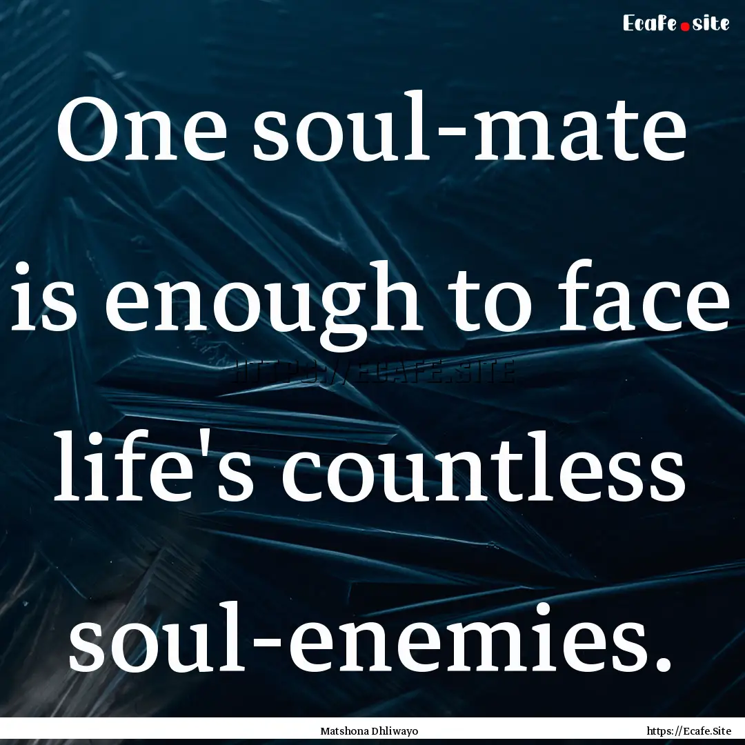 One soul-mate is enough to face life's countless.... : Quote by Matshona Dhliwayo