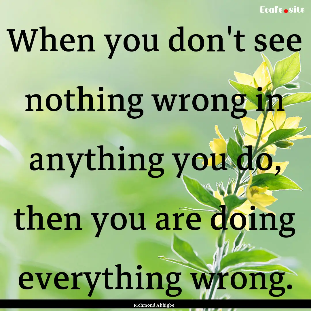 When you don't see nothing wrong in anything.... : Quote by Richmond Akhigbe