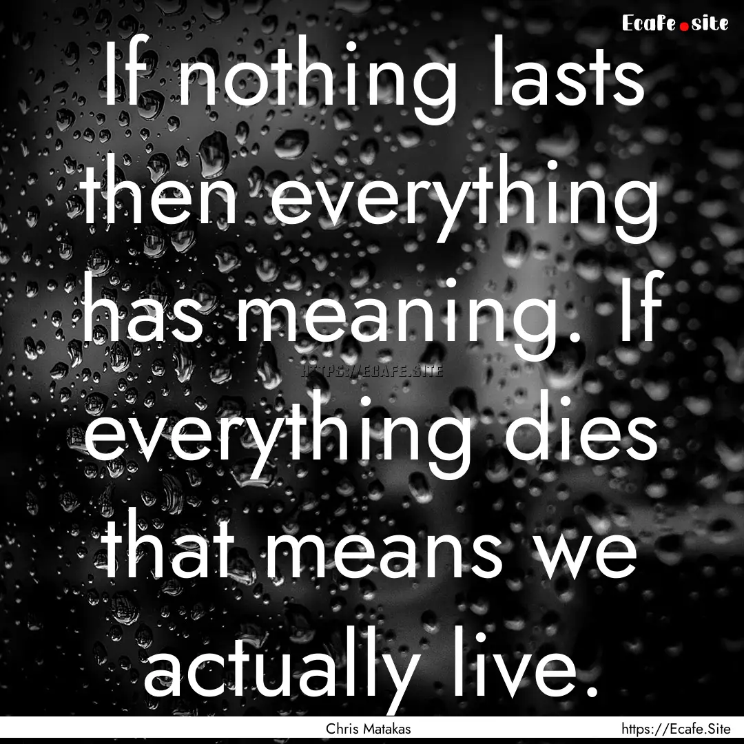 If nothing lasts then everything has meaning..... : Quote by Chris Matakas