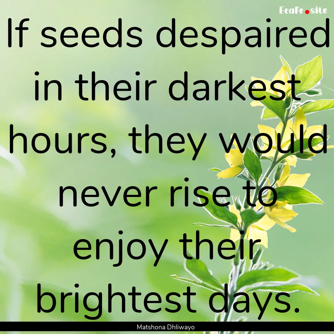 If seeds despaired in their darkest hours,.... : Quote by Matshona Dhliwayo