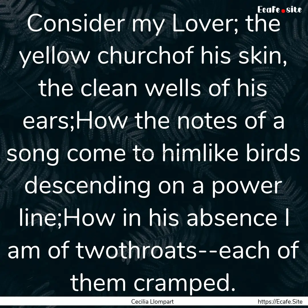 Consider my Lover; the yellow churchof his.... : Quote by Cecilia Llompart